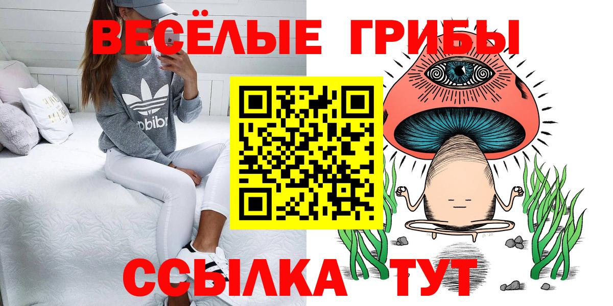 купить наркотики сайты  Галлюциногенные грибы Psilocybine cubensis  Вход с VPN  Галлюциногенные грибы мицелий  Вязьма 